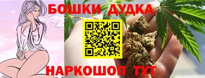 мдпв Татарск
