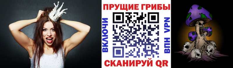 Псилоцибиновые грибы GOLDEN TEACHER  Черногорск 