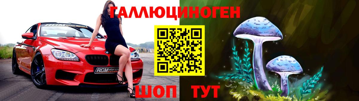 Черногорск  Галлюциногенные грибы ЛСД  Вход с VPN  Галлюциногенные грибы Psilocybine cubensis 